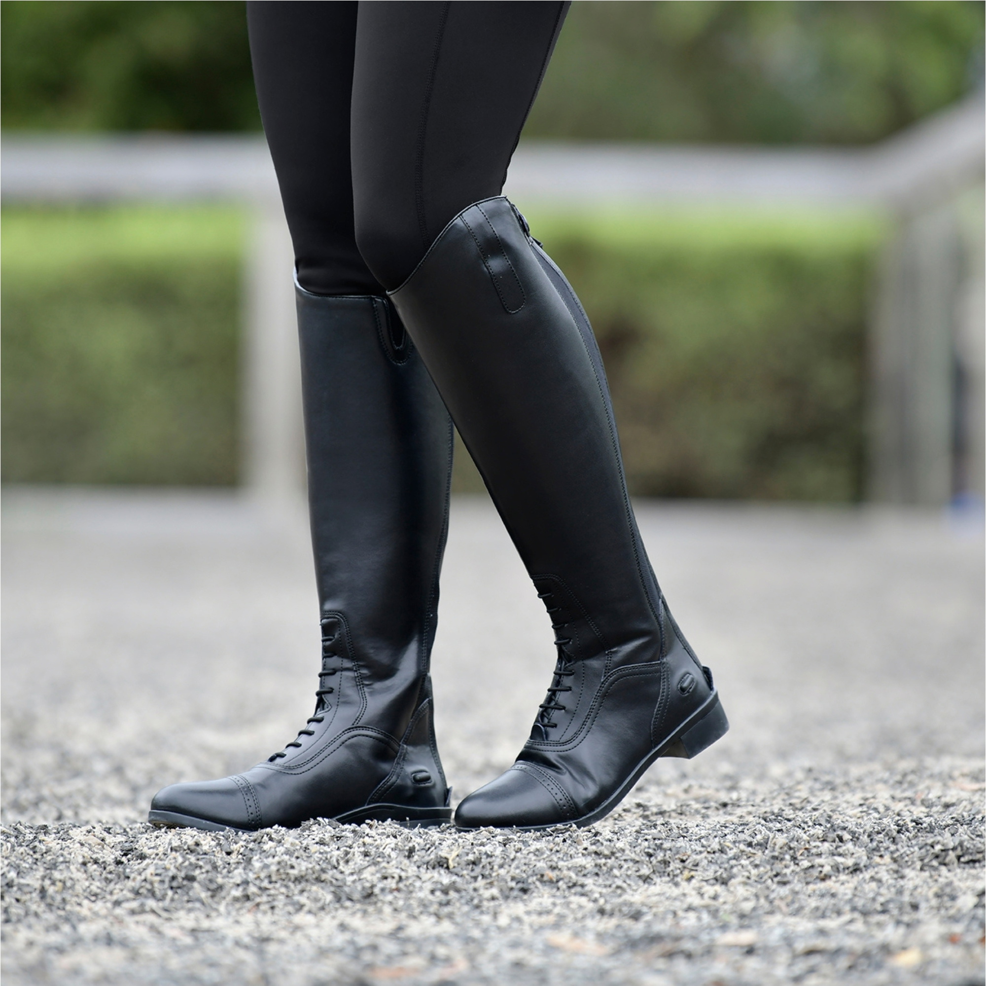 Saxon Syntovia Tall Field Boots 808841 - Black